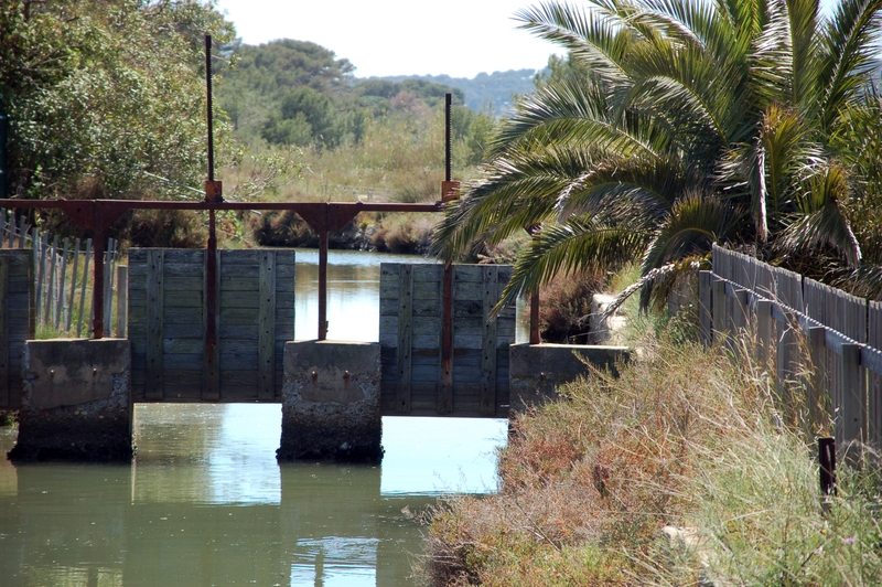 de1fa381fb134650ae416ca1c274ef3b