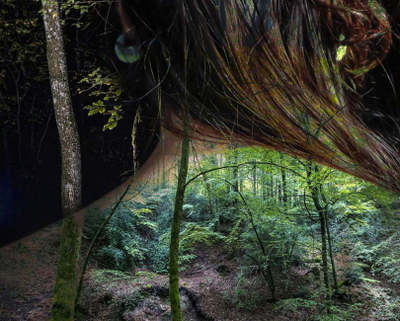 RESTE SAUVAGE