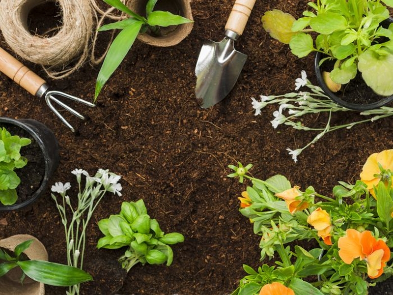 | Des solutions faciles et naturelles pour mon jardin, c’est possible ! |