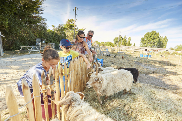 Matinée à la ferme à tarif réduit