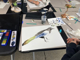 | Atelier de dessin naturaliste : aquarelles d'oiseaux |