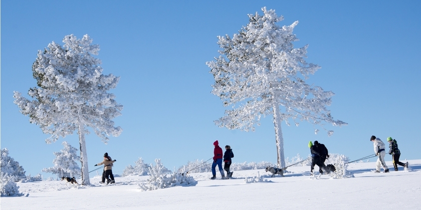 de63b3528a7f4bd3ba5bdcd85d6ce662