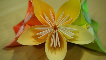 | Atelier créatif : origamis végétaux |