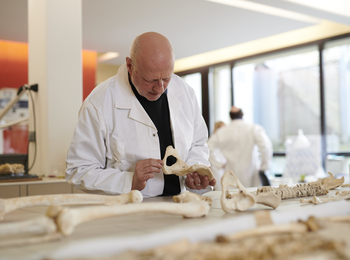 12995d3ed4674530a1b9a2507d440861