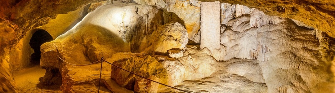 background-tours