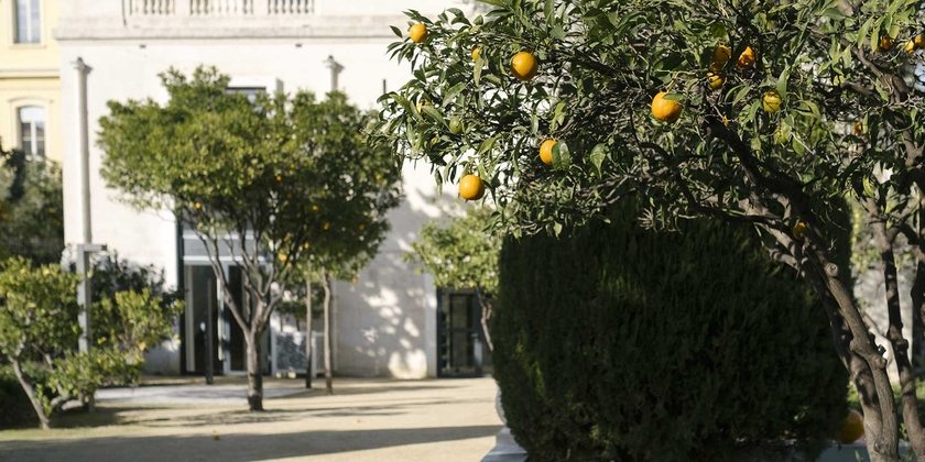 ab06a15316f944899bd429466f157aa9