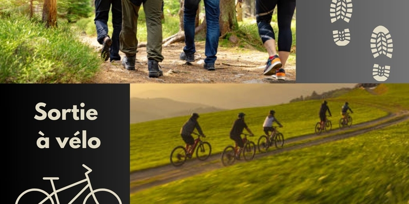 8b2cea4af0844357b0ae57ef142a6d59