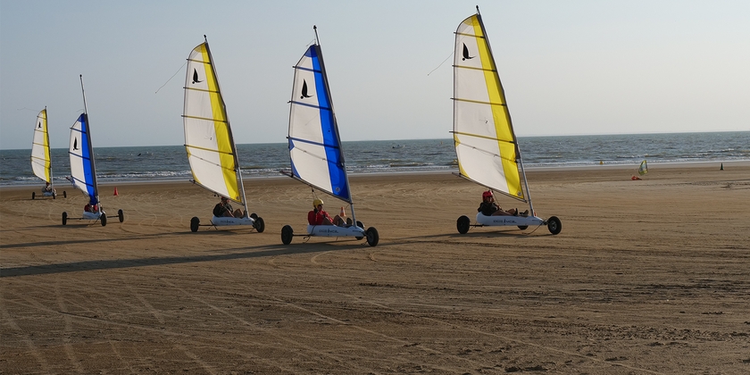 Surf, paddle and sand yacht -20% off