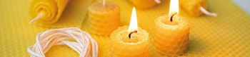 | LE MURMURE DES ABEILLES |