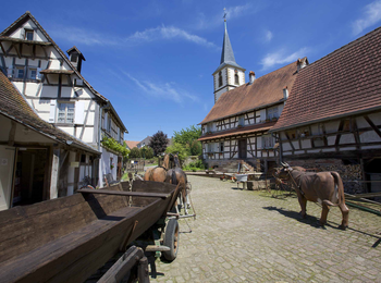 56b91a2ee3644326a9f745da0e04f3a1