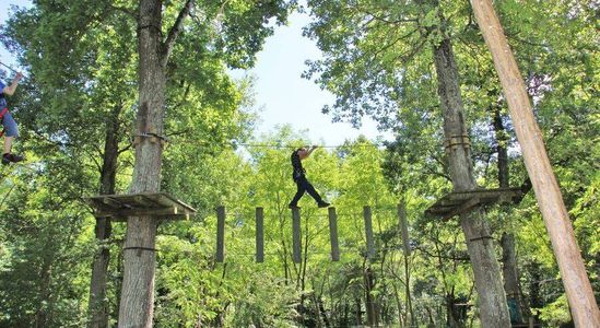 Tree climbing - Vertigo Parc