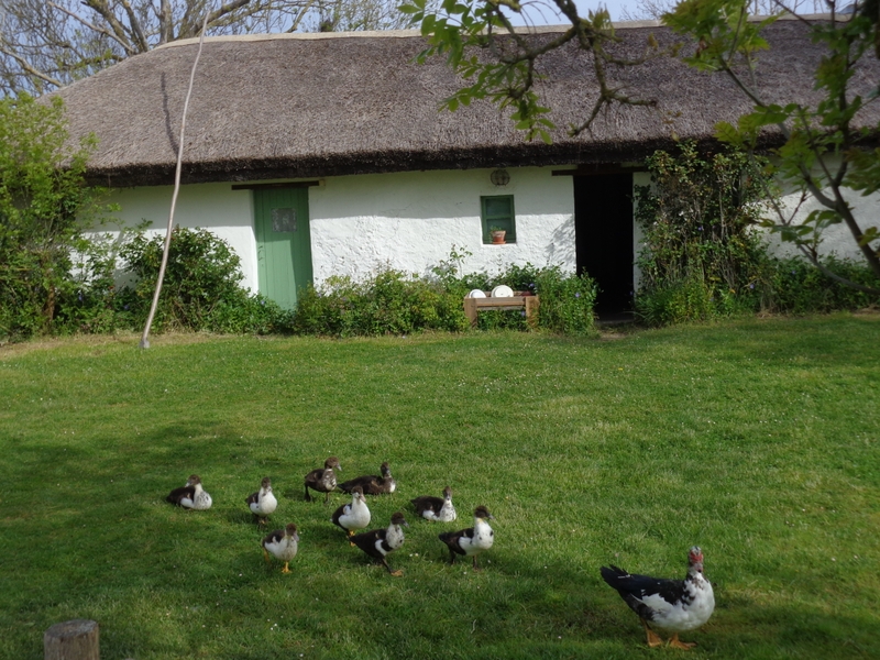 bcc0813683a44956add6be9dc6642d51