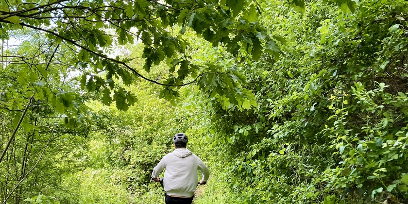 61845490ebfb409eac2f36c46c3f17b3