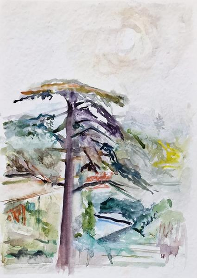 Exposition "Paysages" de Michel Steiner