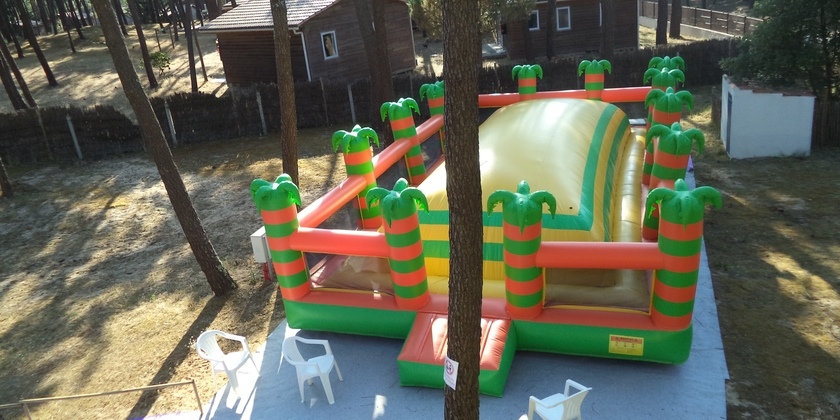 57d9d4f2a1a541ecacb770e3fd0e1f0d