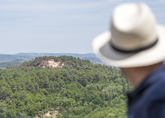 eb08bbbddb8b497b84d9fdb6ca542886