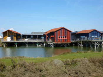 3d15913653384e90bfc6bb728908a53a