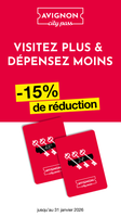 Avignon city 48H pass