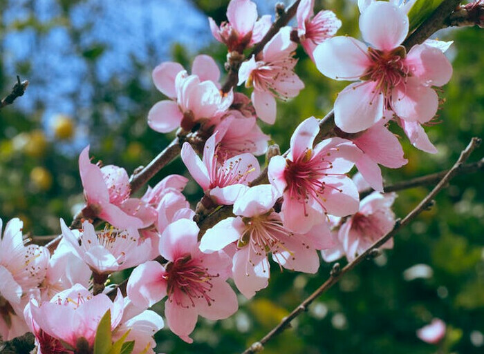 1bd3878fc06b4766b7c70037dfb9014c