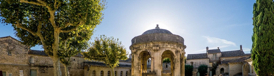 background-avignon