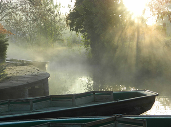 b31c5d41efc34caabce8b1c6013384a9