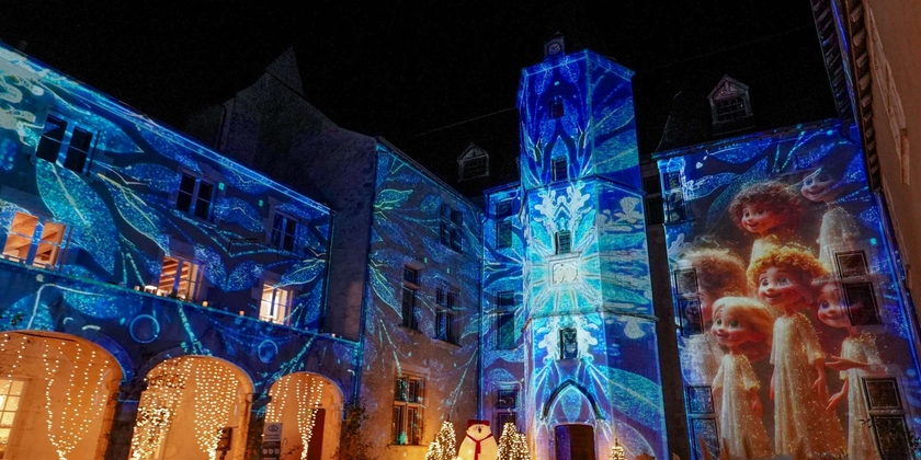 Château de Beaugency - Château de Lumières