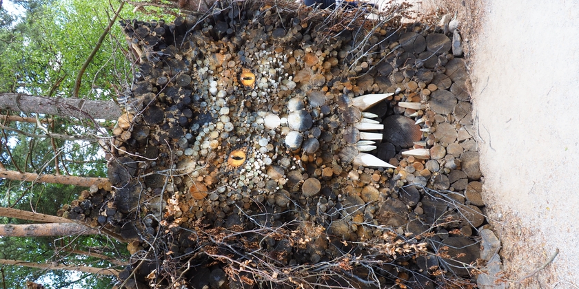 55e191e1e7a54eed98f9f2d57a1860cd