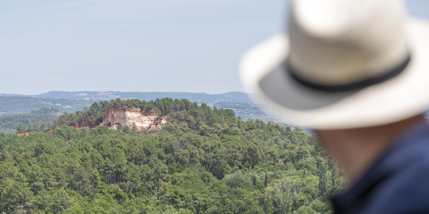 eb08bbbddb8b497b84d9fdb6ca542886