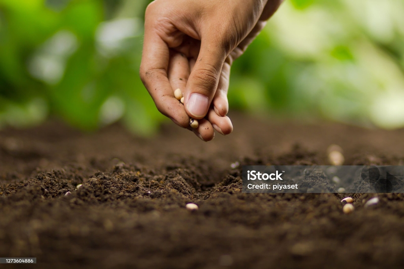 7eccfb330eeb4fcd84577c13f3bda6b4