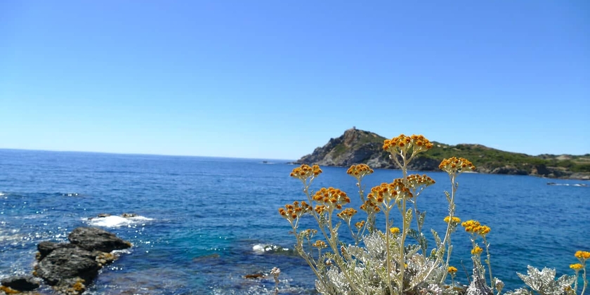 0f4ba9fa9a7d4f35b354ad370d1e88c7