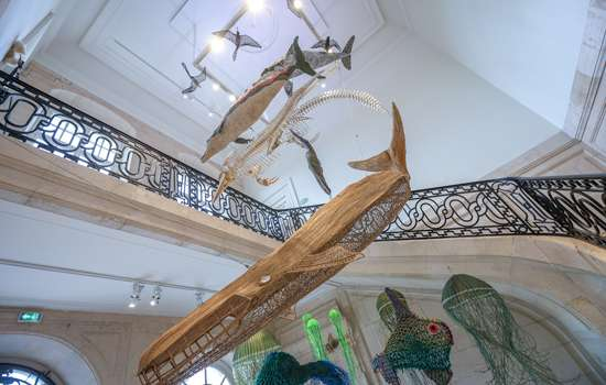Muséum d&#039;Histoire Naturelle / 자연사 박물관