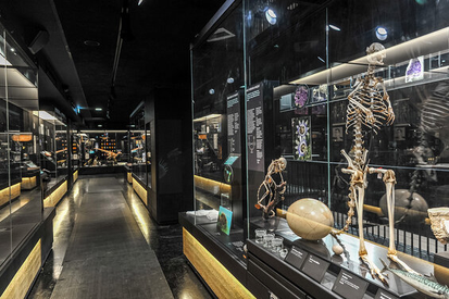 8d6bad77822145dea7c0dbd1e1617b1c