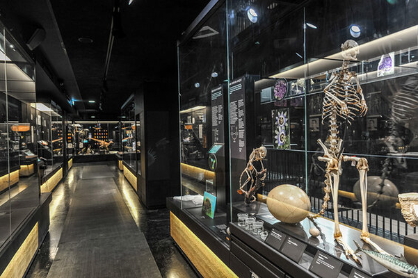 8d6bad77822145dea7c0dbd1e1617b1c