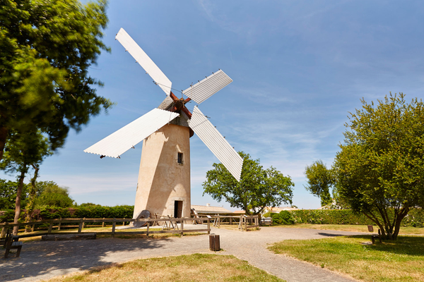 6d232f9c0bea4e3b83ca1476e3bdfc81