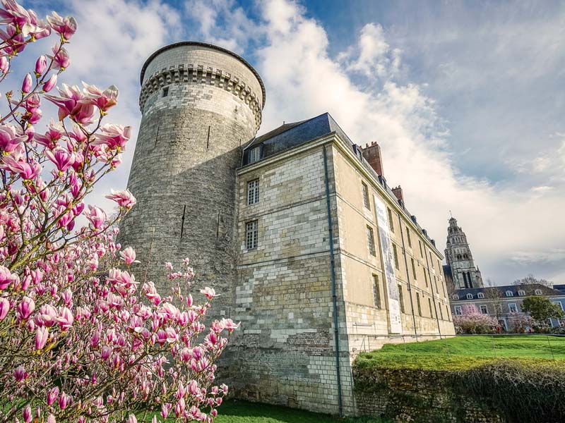 Visite Château de Tours