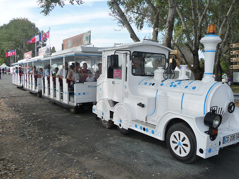 Visite Petit Train Touristique de Tours