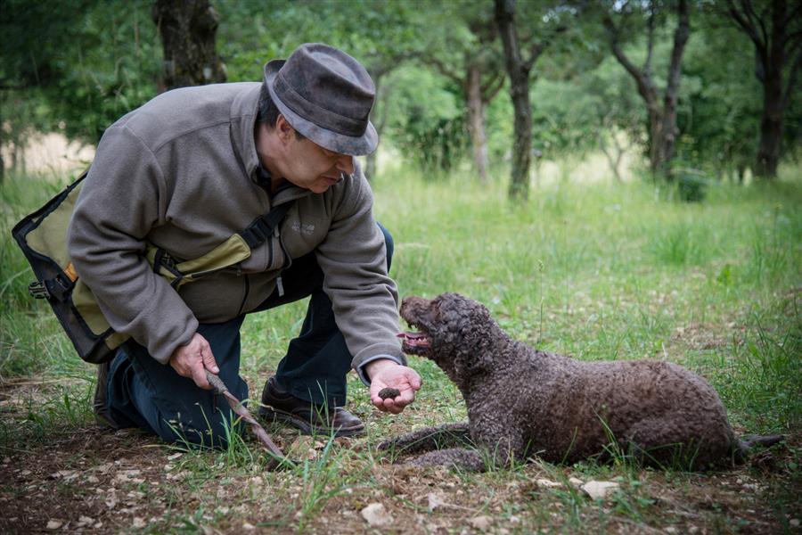 5€ de réduction sur les prestations atelier truffe et cavage.