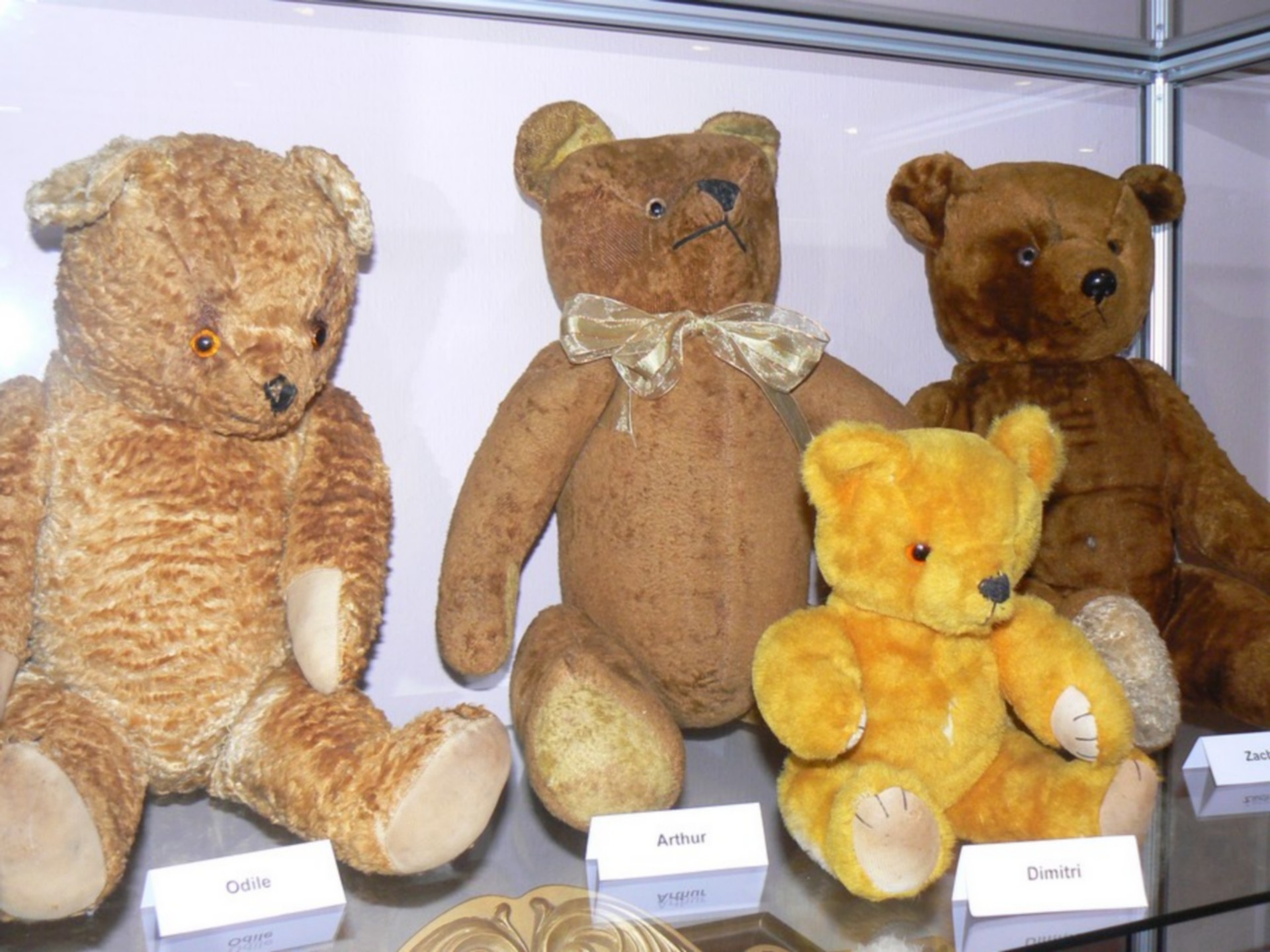 Visite Musée de l'ours
