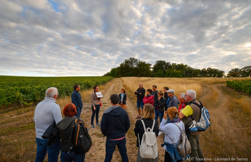 Avantage accordé Rendez-Vous Dans les Vignes