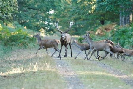 Parc Naturel de Boutissaint