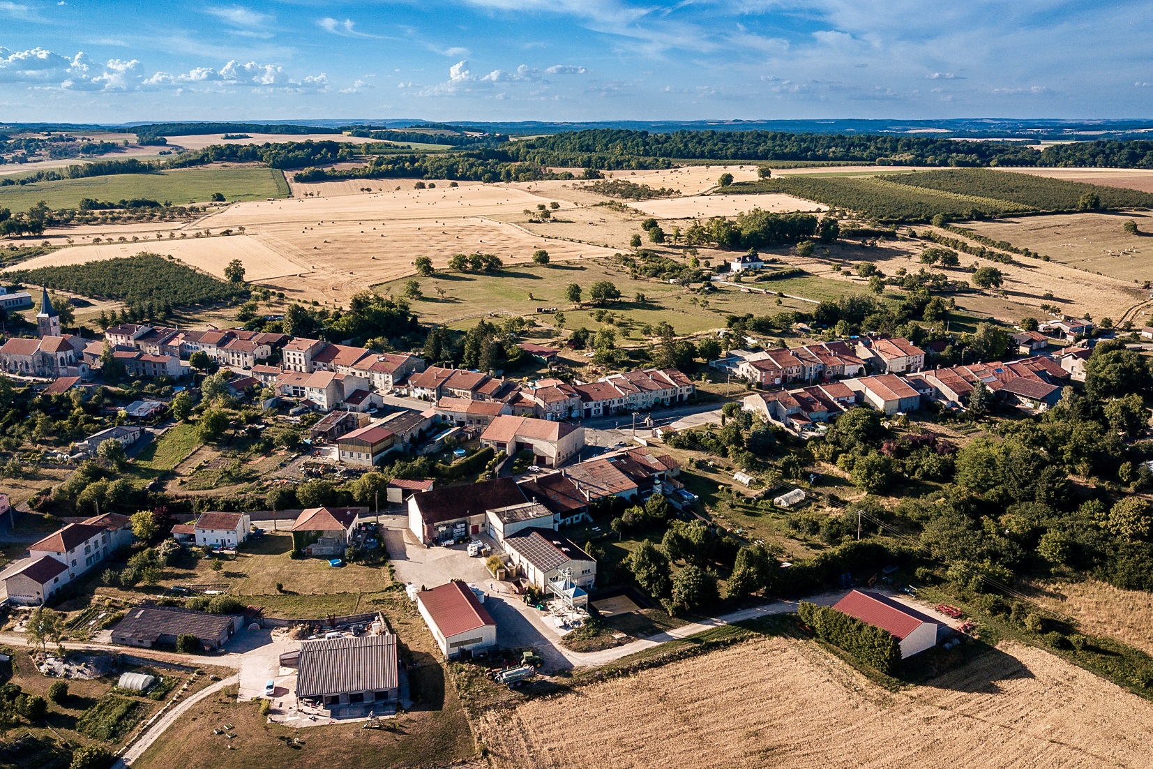 Visite et dégustation à la Maison de la Mirabelle