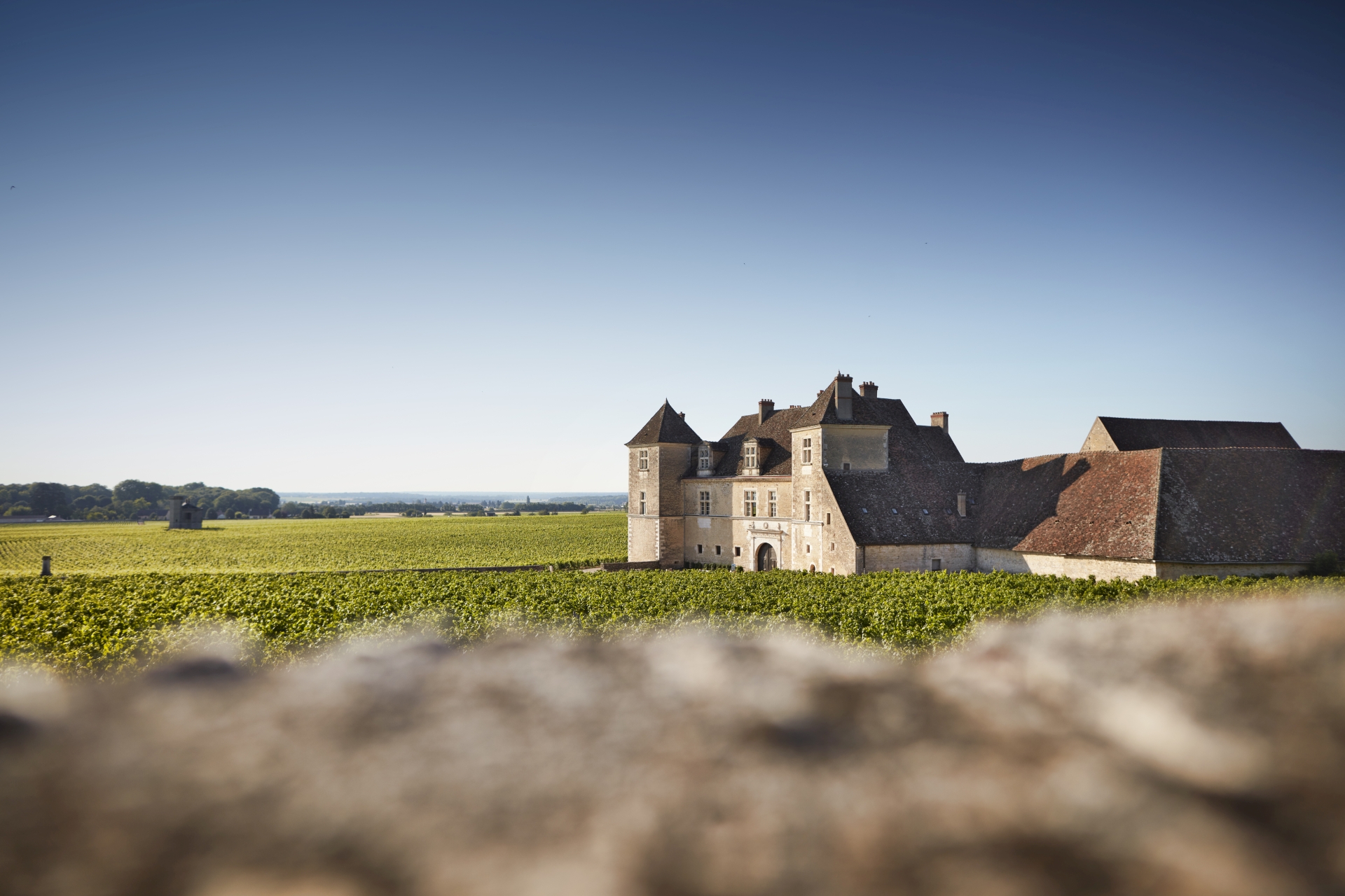 Free visit - Château du Clos de Vougeot
