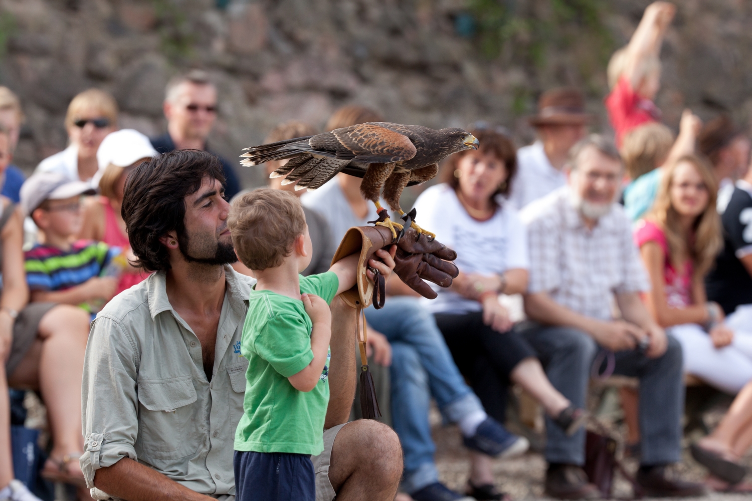 Volerie des Aigles, l’un des 60 sites inclus dans le Pass’Alsace