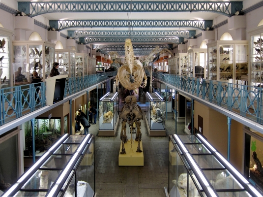 Visite du musée d'Histoire Naturelle