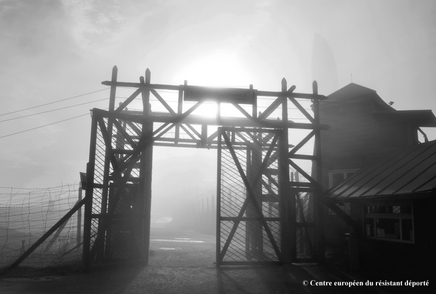 Réduction visite du Centre Européen du Résistant déporté - ancien camp de concentration de Natzweiler-Struthof
