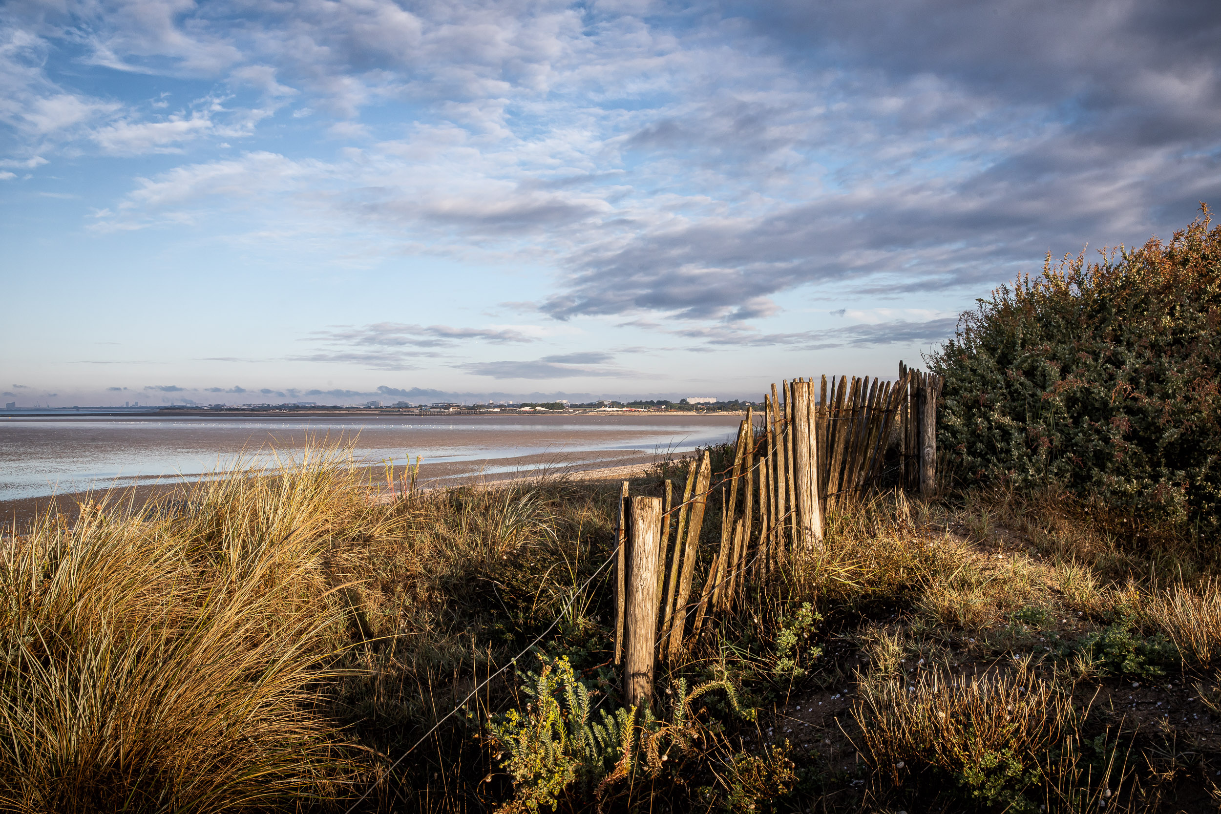 TER La Rochelle – Aytré Plage – Accès illimité