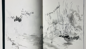 | Stage : Le dessin comme espace d’exploration (séance 1/4) |