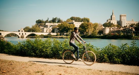 Avignon bridge