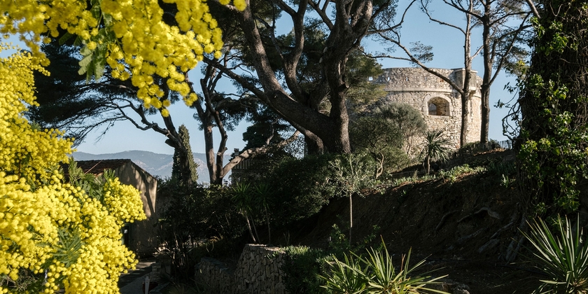 b674debed703491fbee358a33ee70302