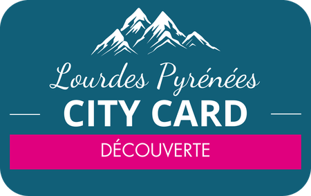 CITY CARD 48 H